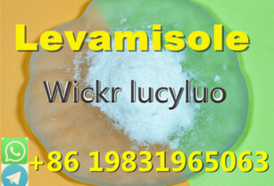 Selling CAS16595-80-5 Levamisole HCL with best price