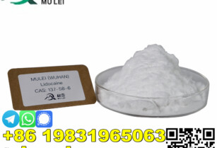 Selling CAS138-58-6Lidocaine with best price and safe delivery