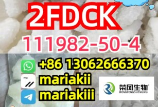 2FDCK,2-Fluorodeschloroketamine,2fdck,CAS.111982-50-4