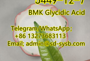 2A  5449-12-7 BMK Glycidic Acid  Europe warehouse