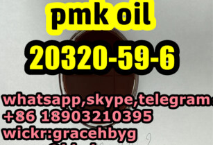 Hot Sales 20320-59-6 Diethyl(phenylacetyl)malonate  5413-05-8  5449-12-7