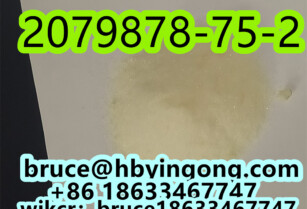 cas 2079878-75-2 2-(2-Chlorophenyl)-2-nitrocyclohexanone powder