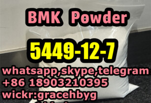 High Quality 5449-12-7  2-methyl-3-phenyl-oxirane-2-carboxylic acid BMK   28578-16-7 PMK