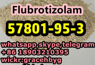 High Quality 57801-95-3 Flubrotizolam