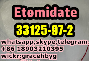 New Original 33125-97-2  Etomidate