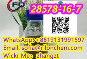 PMK CAS: 28578-16-7 oil 99% Chinese factories supply pharmaceutical intermediates