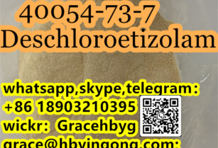 China Factory Supply 40054-73-7 Deschloroetizolam