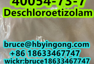 CAS 40054-73-7  Deschloroetizolam  powder