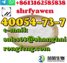 CAS: 40054-73-7 Deschloroetizolam