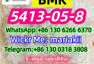 BMK oil/powder, PMK,CAS.5413-05-8