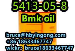 CAS 5413-05-8 ETHYL 2-PHENYLACETOACETATE BMK Oil Bmk Glycidate Oil