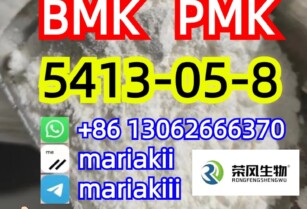 BMK oil/powder, PMK,Hot Sale!Ethyl 3-oxo-4-phenylbutanoate CAS.5413-05-8