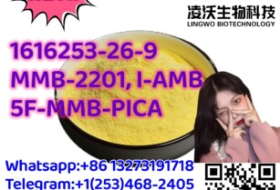 Lingwo Top Quality1616253-26-9/MMB-2201/5F-MMB-PICA/5F-AMB-PICA/I-AMB/