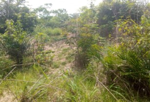 50 plots of dry and accessible land available for investors in Elerangbe, Ibeju Lekki