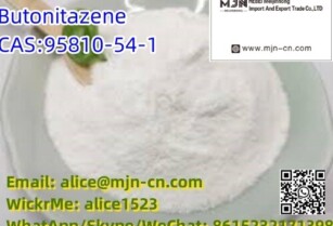 95810-54-1           Butonitazene