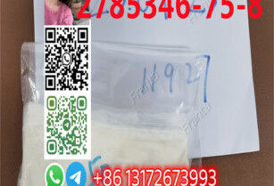 Quick delivery good quality high purity Etonitazepyne CAS 2785346-75-8