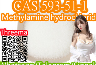 CAS 593-51-1 Methylamine hydrochloride