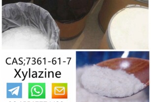 cas 23076-35-9 Xylazine Hydrochloride	Hot Selling in stock	safe direct delivery