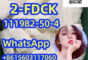  high quality 2FDCK CAS111982-50-4 2FDCK  