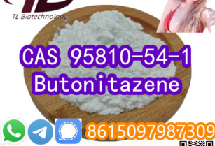 CAS 95810-54-1 Butonitazene