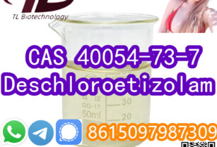 CAS 40054-73-7  Deschloroetizolam