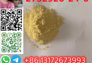 Good quality proton meton similarity 99 orange powder CAS 2732926-24-6