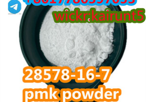 CAS28578-16-7 pmk powder  NEW PMK powder ethyl glycidate