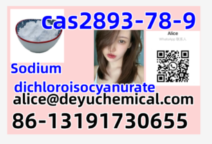 High Qualit cas 2893-78-9 Sodium dichloroisocyanurate 99%