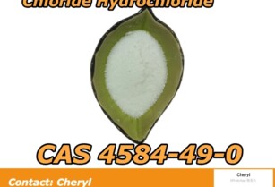 2-Dimethylaminoisopropyl Chloride Hydrochloride CAS;4584-49-0 The Latest Hot Product