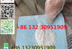 Factory supply high purity pregabalin CAS 148553-50-8