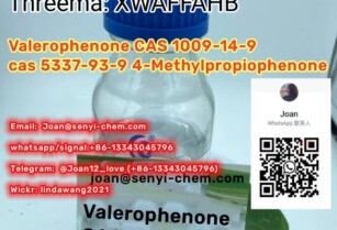 SENYI offer cas1009-14-9 Valerophenone (+86-13343045796)