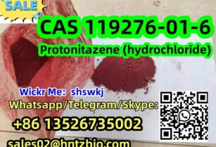 119276-01-6  Protonitazene (hydrochloride)