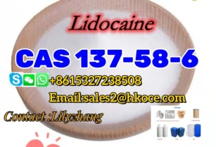 Lidocaine for Pain Killer CAS 137-58-6 Linocaine Base 99% Purity Powder Safe Delivery