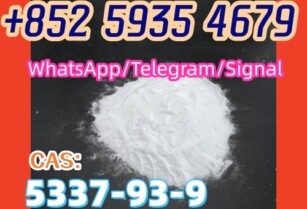 CAS 5337-93-9,+852 59354679 Spot supply