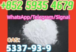 CAS 5337-93-9,+852 59354679 Spot supply