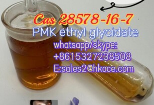 Pmk Oil Cas 28578-16-7 Pmk Ethyl Glycidate with Low Price