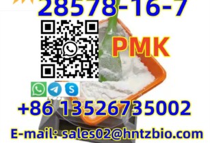 28578-16-7   PMK, ethyl glycidate