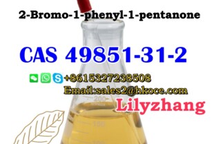 Low MOQ New 2-Bromovalerophenone CAS.49581-31-2 China factory supply