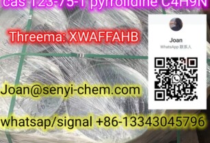 SenYI sell cas 49851-31-2 C11H13BrO  (whatsap+86-13343045796)