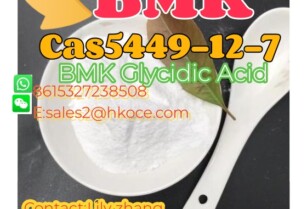 High Quality BMK Glycidic Acid powder CAS 5449-12-7 with safe delivery