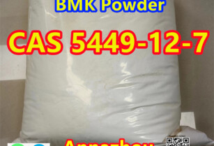 Factory Supply Cas 5449-12-7 BMK Glycidic Acid Sodium Salt with Fast Delivery