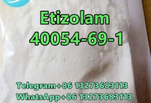 Etizolam CAS 40054-69-1	Hot Selling in stock	D1