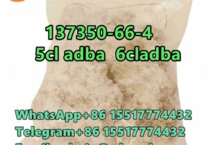 CAS 137350-66-4 5cl adba	Fast Delivery	D1