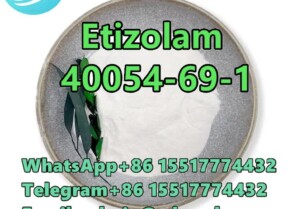 CAS 40054-69-1 Etizolam	Fast Delivery	D1