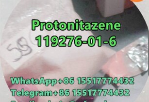 CAS 119276-01-6 Protonitazene	Fast Delivery	D1