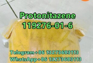 Protonitazene CAS 119276-01-6	Hot Selling in stock	D1