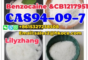 CAS 94 -09-7//Benzoc Aine Hydrochloride CAS 23239-88-5//Lido Caine CAS 137- 58-6//Benzo Caine