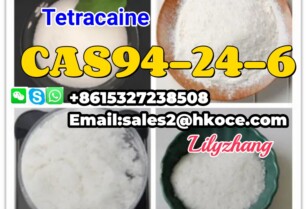 High Quality CAS 94-24 -6 Te-Tracaine HCl Pure Powder 2- (Dimethylamino) Ethyl 4- (butylamino) Benzoate Pharmaceutical Chemical Best Price