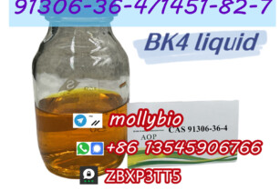 CAS 91306-36-4 BK4 oil fast delivery Telegram: mollybio