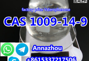 Factory Supply Valerophenone CAS 1009-14-9 for best price with Fast and Safe Delivery to Russia Market